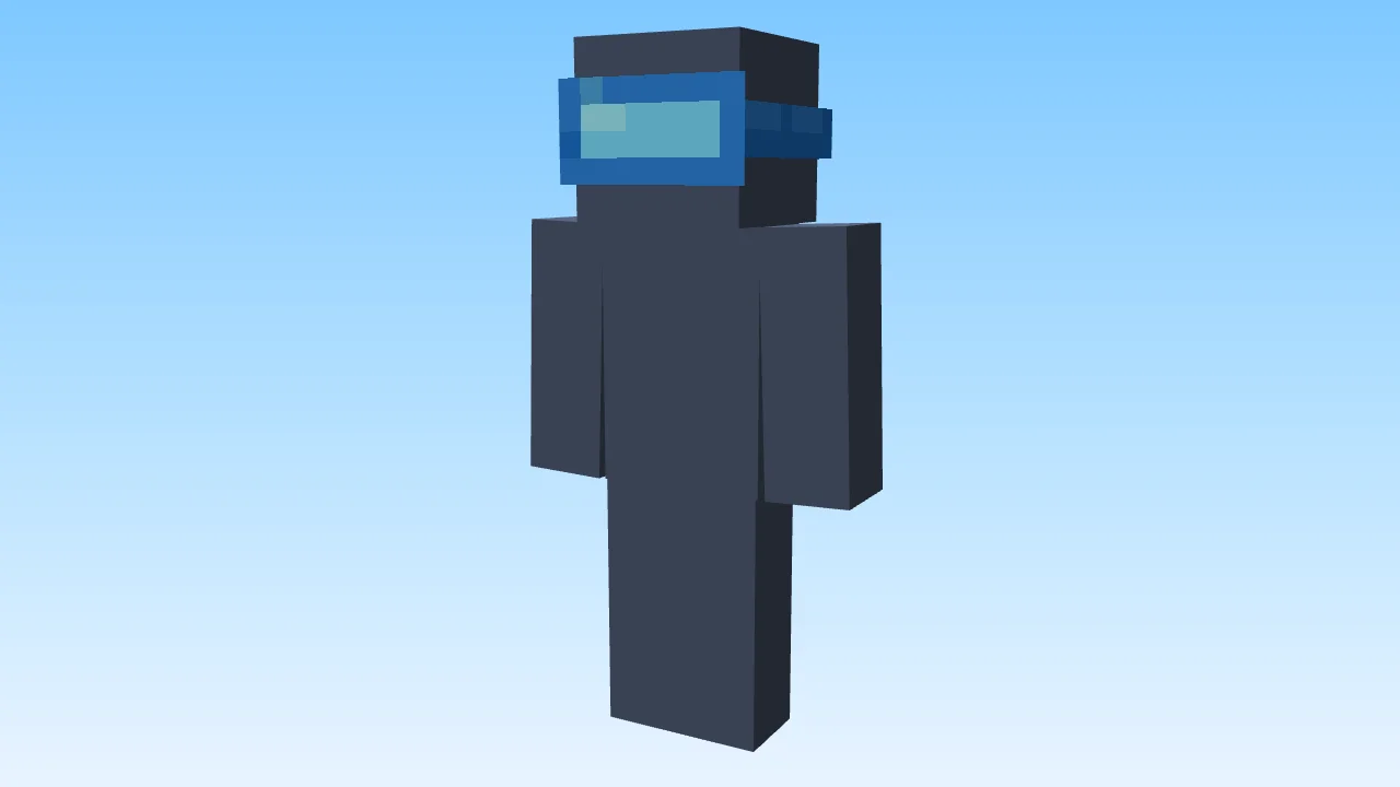 Swim Goggles