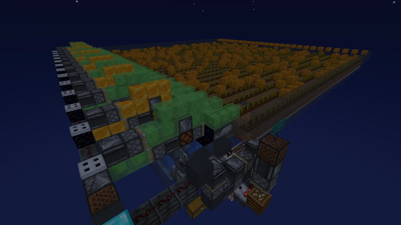 Pumpkin Farm